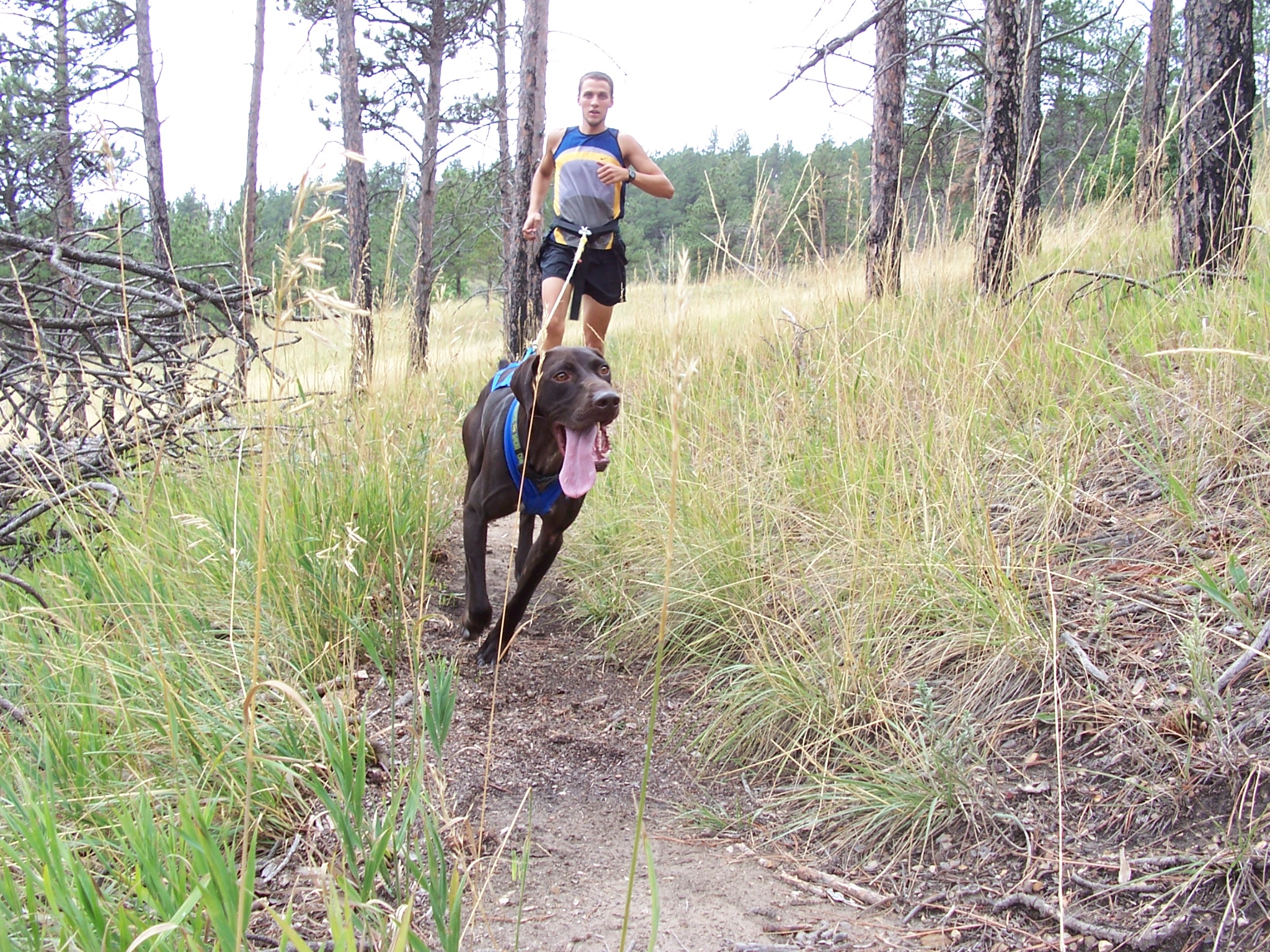 Canicross - Click to make image larger