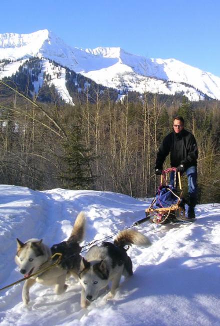jan_Learn-to-mush_Fernie-BC