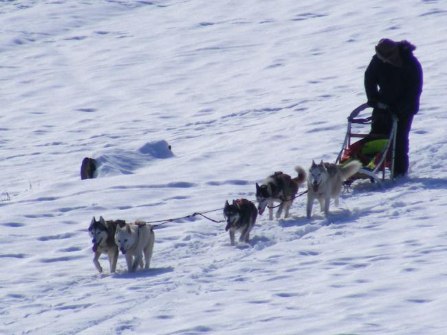 2009_0210training0057