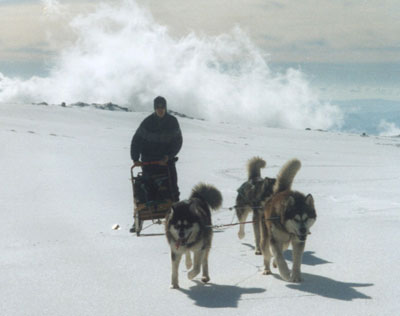 LuisSalgueiro+Bering,-Maggi