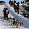 2007_iditarod_lance_mackey_13_number2