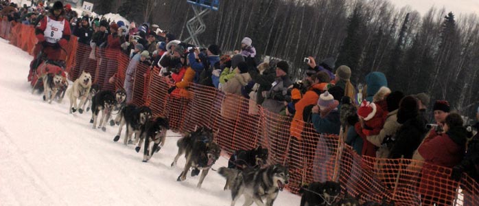 sled dog slide
